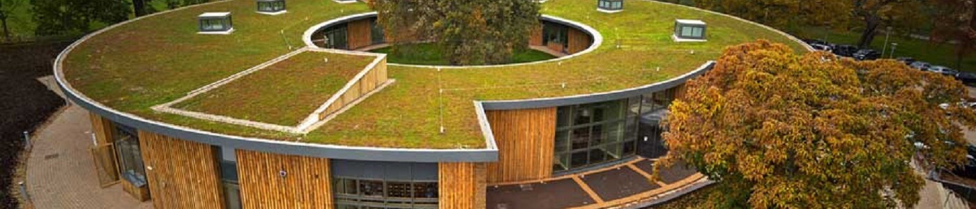 Green Roofing %%city%%