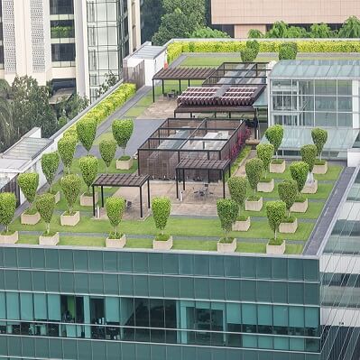 Commercial Green Roof